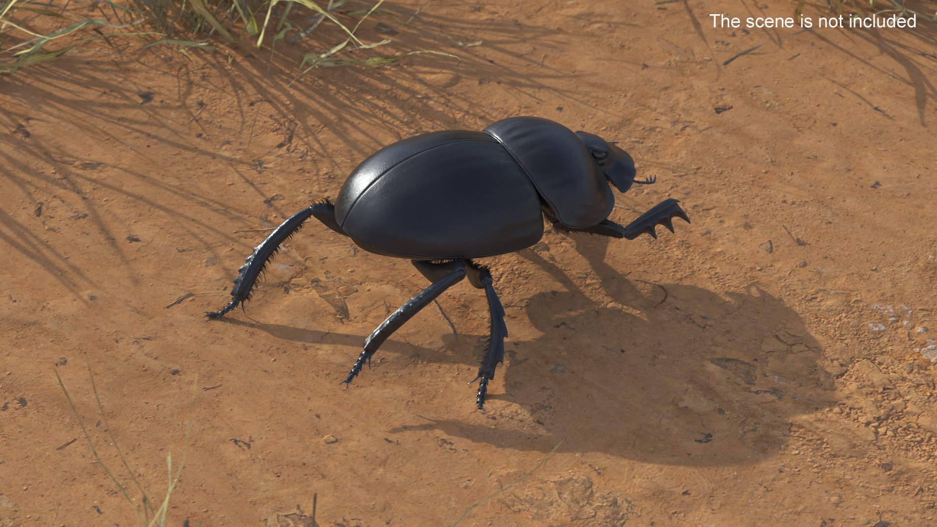Soil Beetle Crawling Fur model https://p.turbosquid.com/ts-thumb/qi/I7bMSf/Re/soil_beetle_crawling_fur_006/jpg/1729500015/1920x1080/fit_q87/69b07ab325abe11ea97f737ebc61387159fde0d3/soil_beetle_crawling_fur_006.jpg