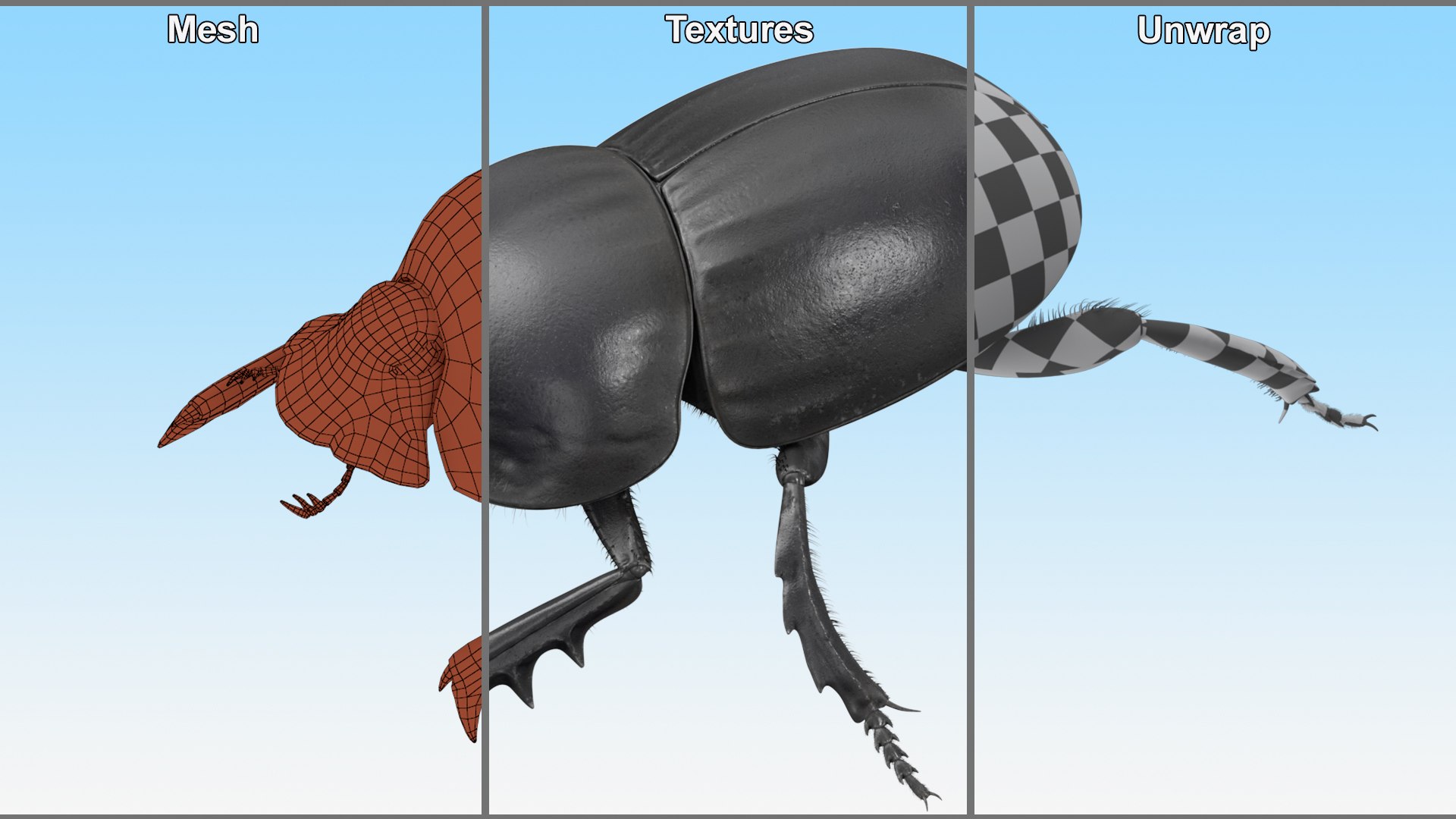 Soil Beetle Crawling Fur model https://p.turbosquid.com/ts-thumb/qi/I7bMSf/l7/soil_beetle_crawling_fur_010/jpg/1729500018/1920x1080/fit_q87/2ae0865a4540c14818c6714ca25e207d2ad3ed18/soil_beetle_crawling_fur_010.jpg