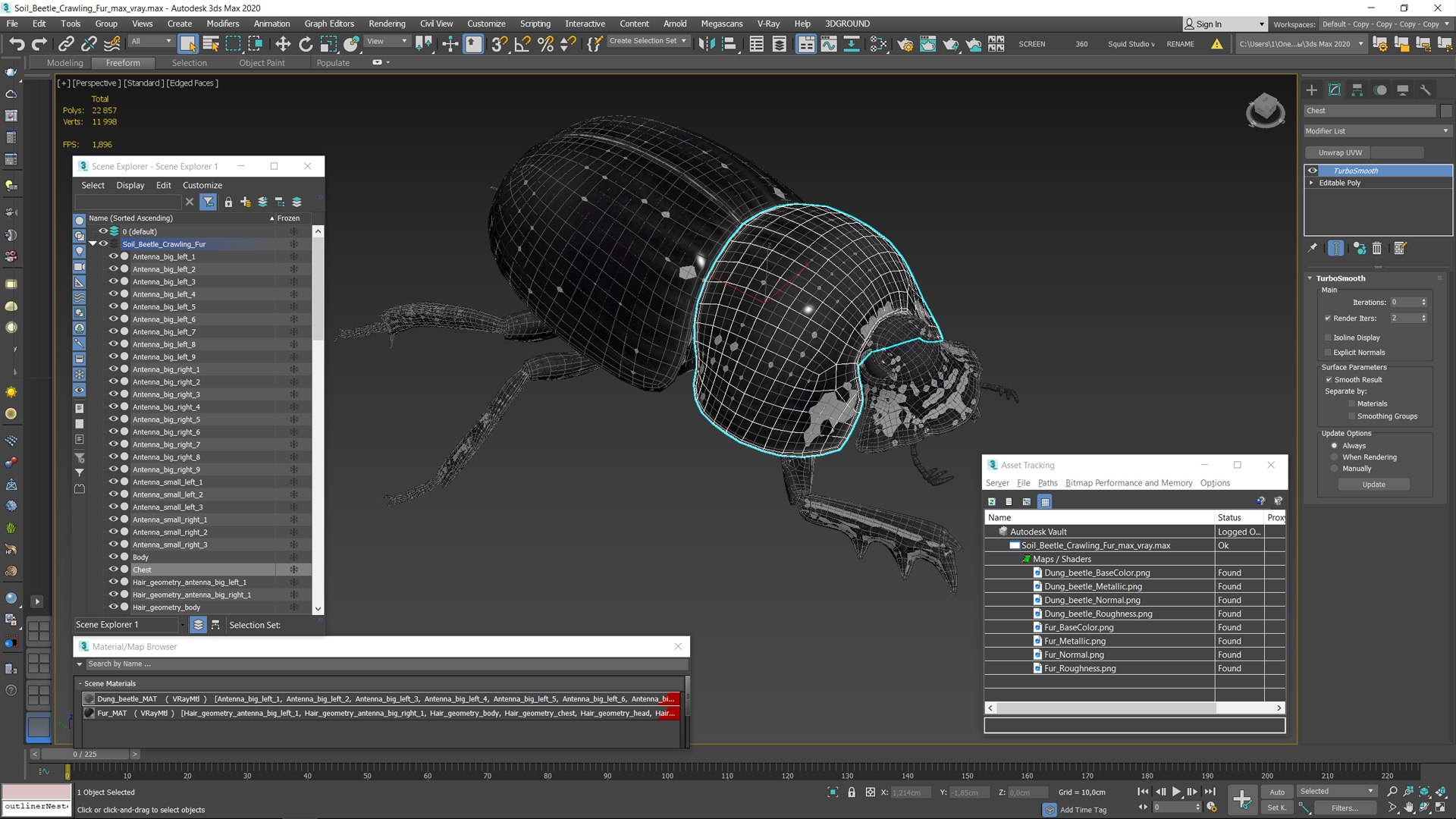 Soil Beetle Crawling Fur model https://p.turbosquid.com/ts-thumb/qi/I7bMSf/sF/soil_beetle_crawling_fur_015/jpg/1729500020/1920x1080/fit_q87/fe637d52759c79f5d376fdfed05c7c150397a402/soil_beetle_crawling_fur_015.jpg