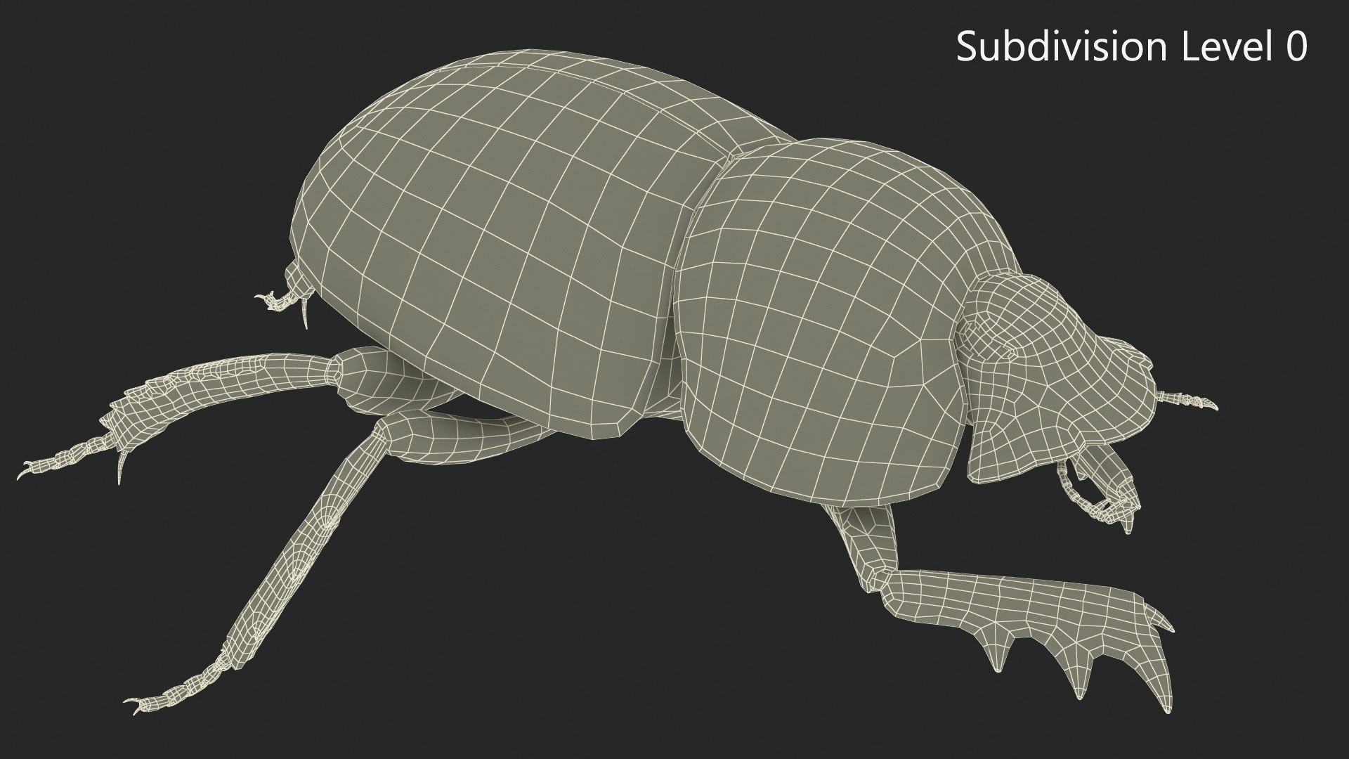 Soil Beetle Crawling Fur model https://p.turbosquid.com/ts-thumb/qi/I7bMSf/vk/soil_beetle_crawling_fur_011/jpg/1729500018/1920x1080/fit_q87/788491cff2ec96058585b822d77e8bbdf4f01d2e/soil_beetle_crawling_fur_011.jpg