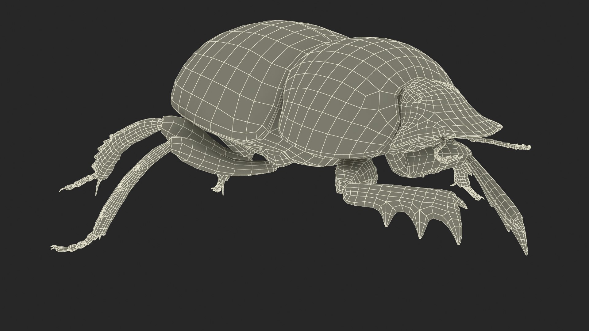 Soil Beetle Crawling Fur model https://p.turbosquid.com/ts-thumb/qi/I7bMSf/xS/soil_beetle_crawling_fur_017/jpg/1729500021/1920x1080/fit_q87/3a6bf6b0f385a9fd18807a96a9ad6b606aa26cb2/soil_beetle_crawling_fur_017.jpg
