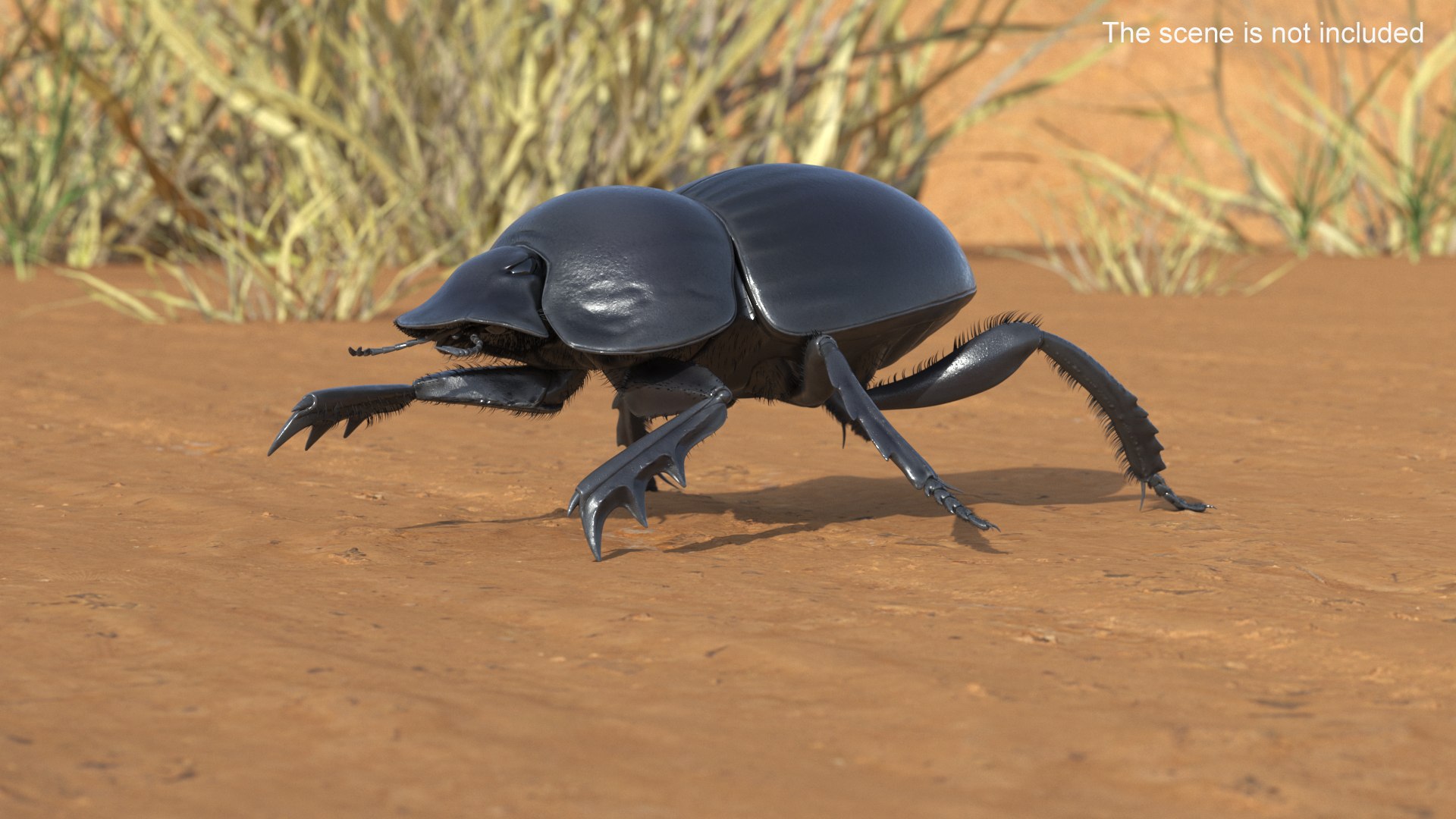 Soil Beetle Crawling Fur model https://p.turbosquid.com/ts-thumb/qi/I7bMSf/yn/soil_beetle_crawling_fur_005/jpg/1729500015/1920x1080/fit_q87/c335d038b39ec5376648c7bf4bf2f9786c9c1c9a/soil_beetle_crawling_fur_005.jpg