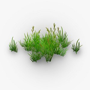 3D green grass model