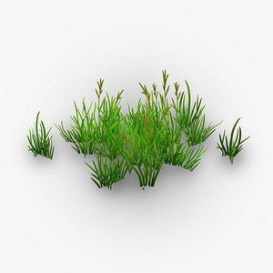 Grass Cluster