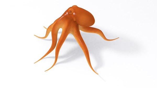 Cartoon octopus 3D model - TurboSquid 1606353 Cartoon octopus 3D model - TurboSquid 1606353