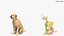 Begging White Labrador Dog Pose Fur Animated Rigged