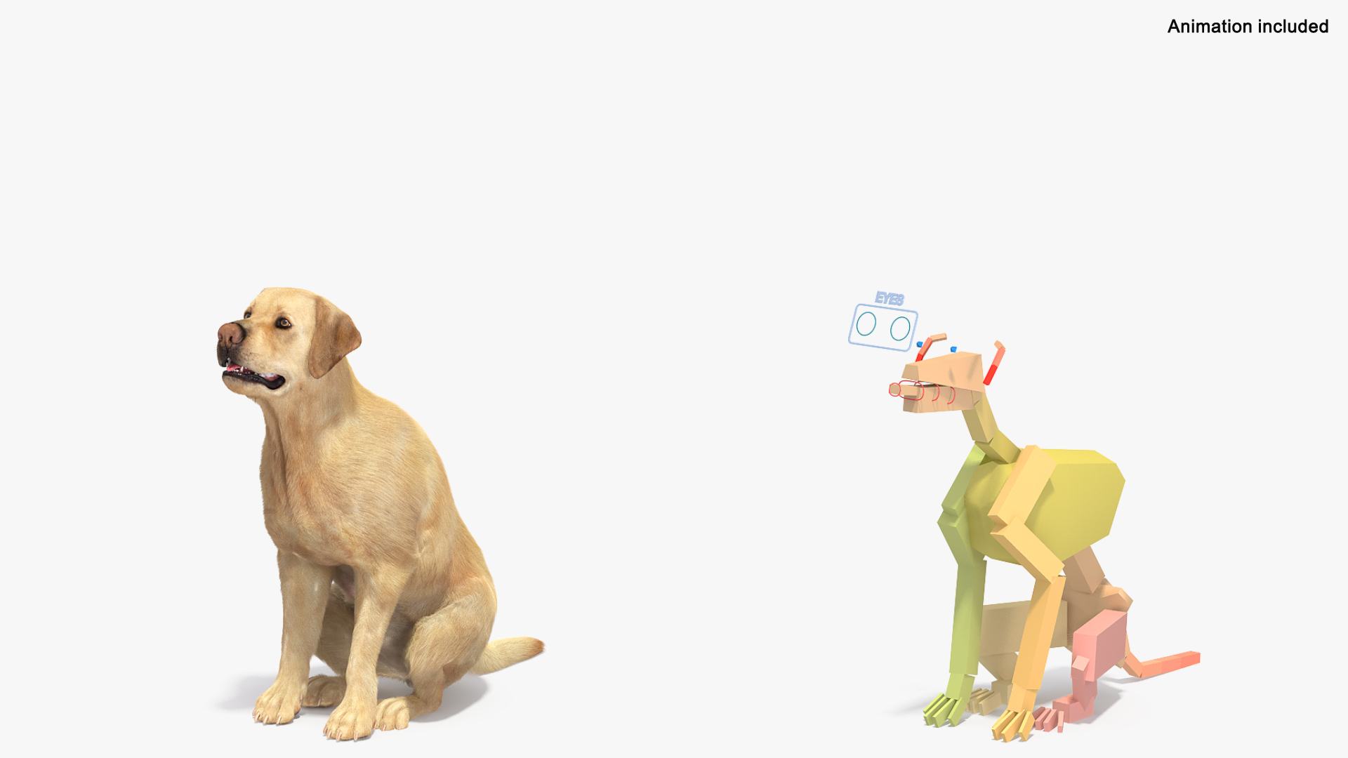 Begging White Labrador Dog Pose Fur Animated Rigged 3D https://p.turbosquid.com/ts-thumb/qi/jmwB7s/3i/begging_white_labrador_dog_pose_fur_animated_rigged_362/jpg/1753032895/1920x1080/turn_fit_q99/8f663b03bdc0607bce7fa05c3250d8574fa18f9b/begging_white_labrador_dog_pose_fur_animated_rigged_362-1.jpg