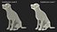 Begging White Labrador Dog Pose Fur Animated Rigged
