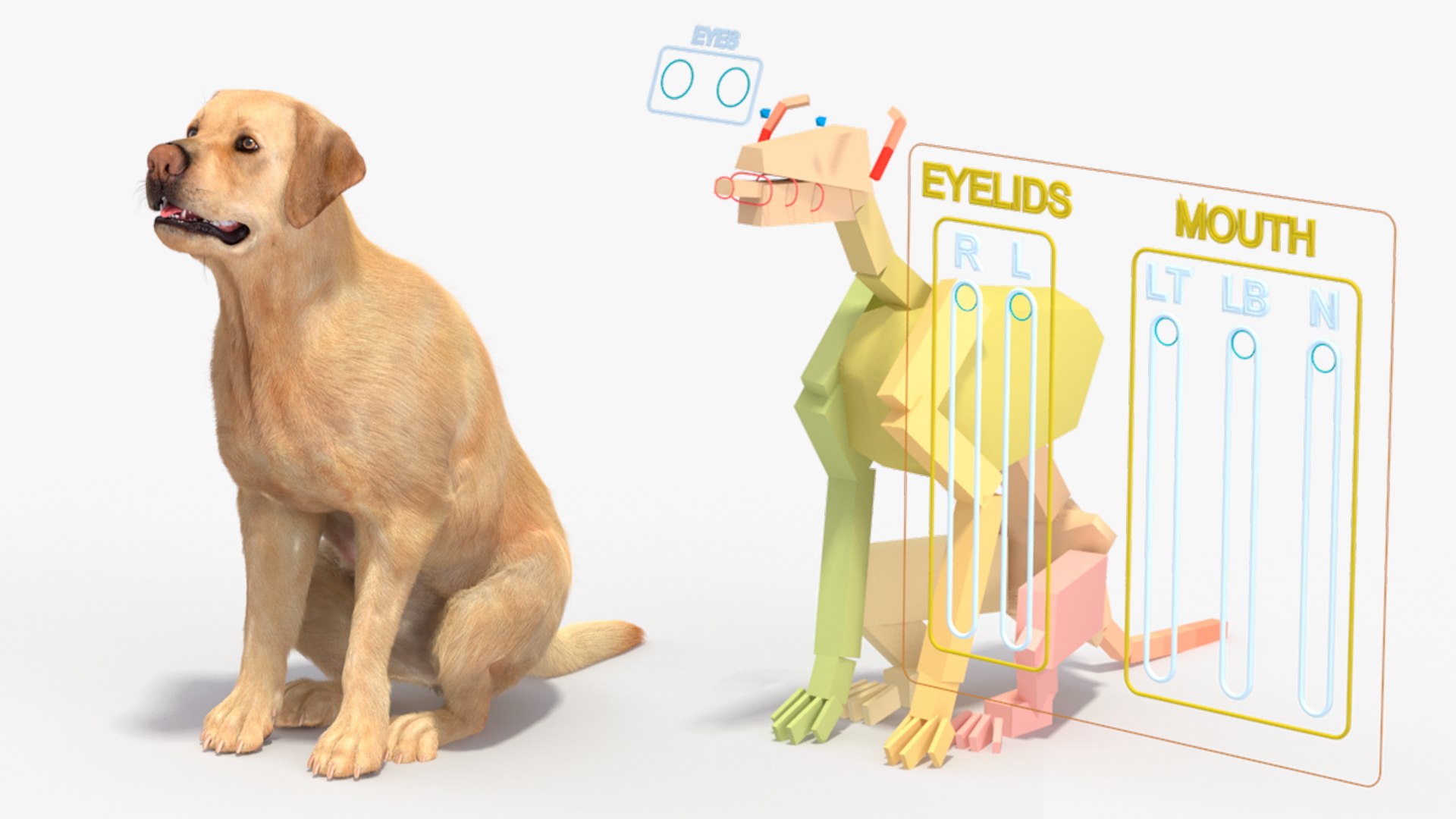 Begging White Labrador Dog Pose Fur Animated Rigged 3D https://p.turbosquid.com/ts-thumb/qi/jmwB7s/RS/begging_white_labrador_dog_pose_fur_animated_rigged_002/jpg/1753032969/1920x1080/fit_q87/32fa739662b669645daf1cf928fce7006dbcb50a/begging_white_labrador_dog_pose_fur_animated_rigged_002.jpg