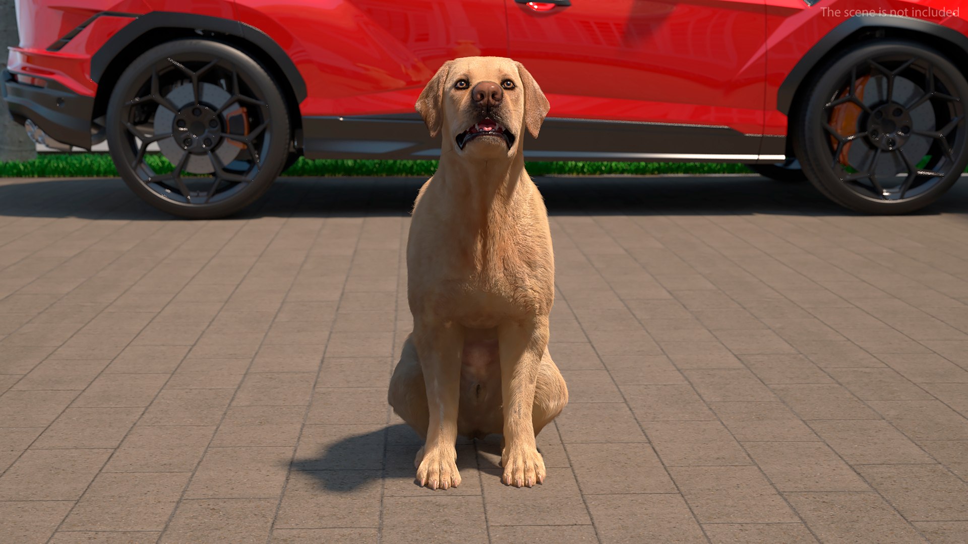 Begging White Labrador Dog Pose Fur Animated Rigged 3D https://p.turbosquid.com/ts-thumb/qi/jmwB7s/Ur/begging_white_labrador_dog_pose_fur_animated_rigged_003/jpg/1753032973/1920x1080/fit_q87/6b5957a4376f9d422c270a5cf27cebf83f1b623b/begging_white_labrador_dog_pose_fur_animated_rigged_003.jpg