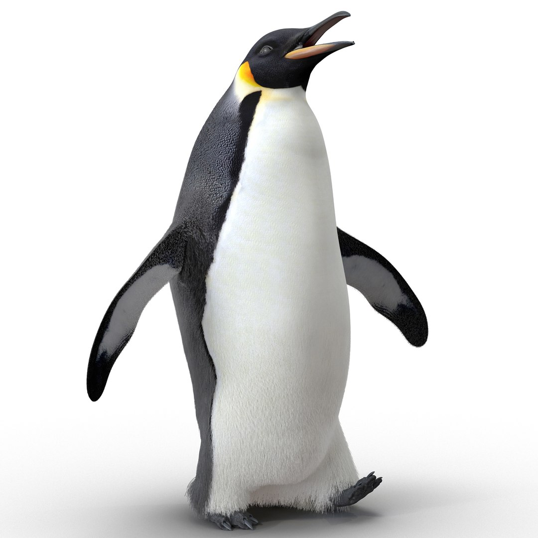 皇帝ペンギンポーズ2毛皮3Dモデル3Dモデル - TurboSquid 1052565