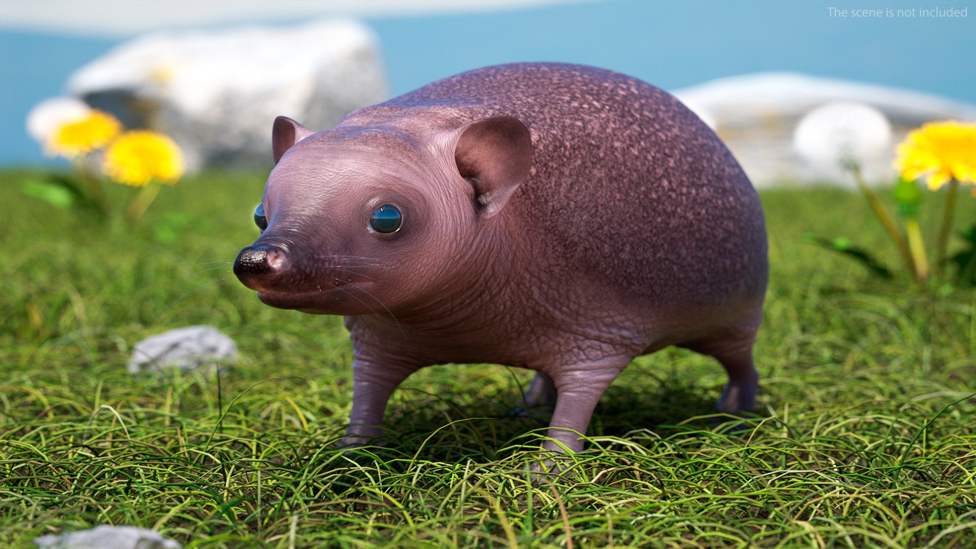Hedgehog Bald Rigged for Maya model https://p.turbosquid.com/ts-thumb/qi/wAMYLB/0Z/hedgehogbaldriggedformayac4dmodel005/jpg/1692295312/1920x1080/fit_q87/5b1b0a6f7fb29c67179bdabe5cd94505f5f189f4/hedgehogbaldriggedformayac4dmodel005.jpg