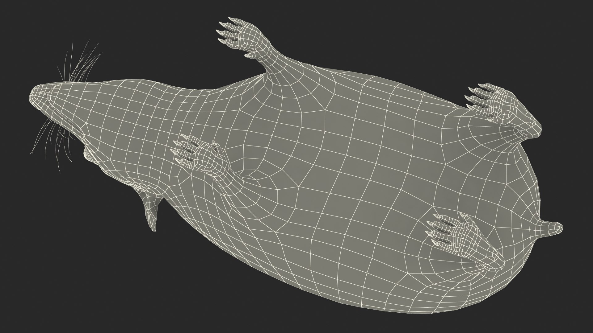 Hedgehog Bald Rigged for Maya model https://p.turbosquid.com/ts-thumb/qi/wAMYLB/0c/hedgehogbaldriggedformayac4dmodel051/jpg/1692295512/1920x1080/fit_q87/13f0adc281f29e8fd50687b3a34c4d665c40cd79/hedgehogbaldriggedformayac4dmodel051.jpg