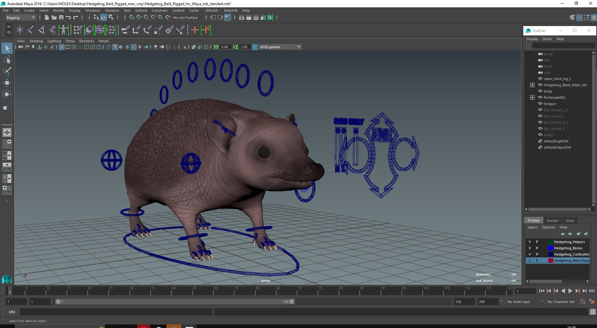 Hedgehog Bald Rigged for Maya model https://p.turbosquid.com/ts-thumb/qi/wAMYLB/32/hedgehogbaldriggedformayac4dmodel057/jpg/1692295535/1920x1080/fit_q87/3100913bedc1024a86941b8613b40a47bc004bf9/hedgehogbaldriggedformayac4dmodel057.jpg