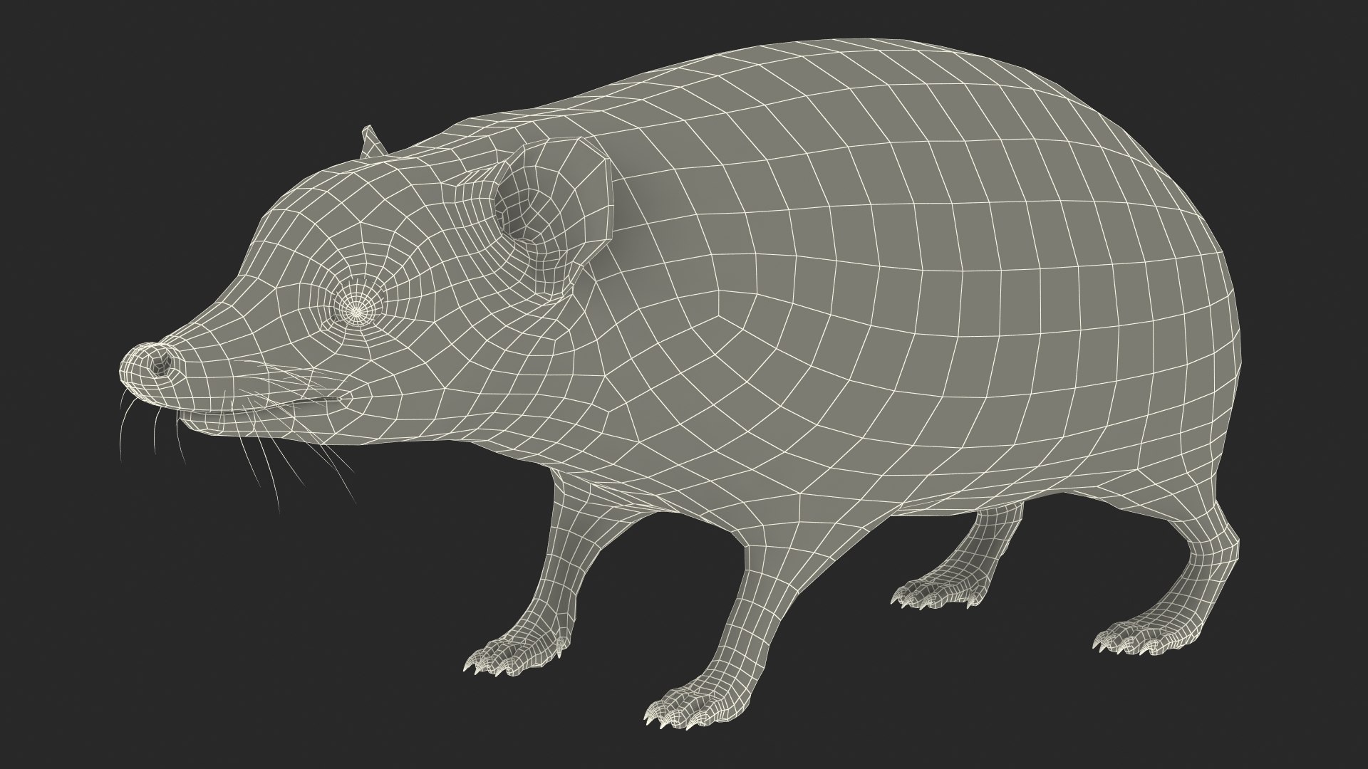 Hedgehog Bald Rigged for Maya model https://p.turbosquid.com/ts-thumb/qi/wAMYLB/3e/hedgehogbaldriggedformayac4dmodel049/jpg/1692295504/1920x1080/fit_q87/235f3b86c3c76cd5399b637b0e708d5944087562/hedgehogbaldriggedformayac4dmodel049.jpg