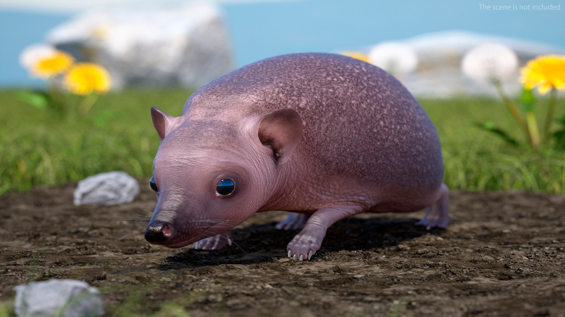 Hedgehog Bald Rigged for Maya model https://p.turbosquid.com/ts-thumb/qi/wAMYLB/8x/hedgehogbaldriggedformayac4dmodel006/jpg/1692295315/1920x1080/fit_q87/2b19adae18d59a458a96e914a4b63629530358eb/hedgehogbaldriggedformayac4dmodel006.jpg
