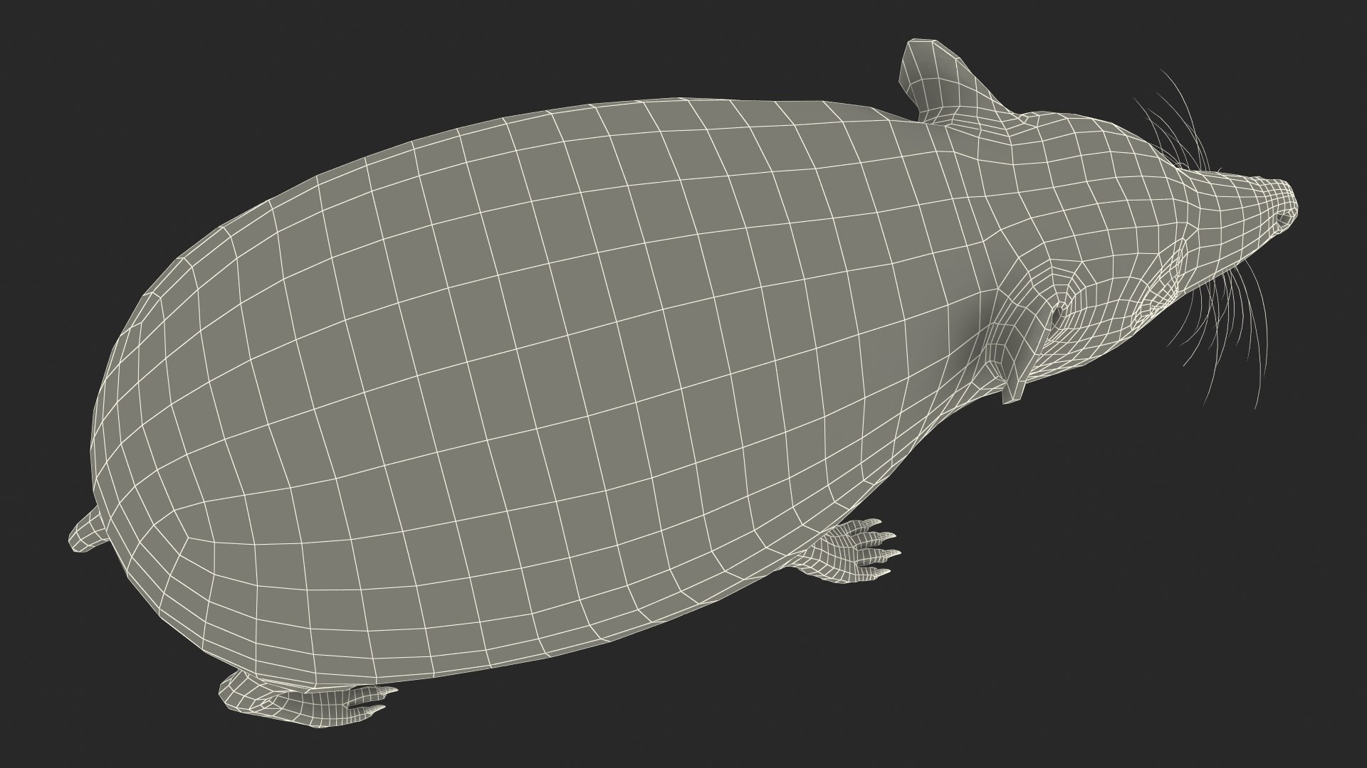 Hedgehog Bald Rigged for Maya model https://p.turbosquid.com/ts-thumb/qi/wAMYLB/9m/hedgehogbaldriggedformayac4dmodel050/jpg/1692295508/1920x1080/fit_q87/5daa54b013700ae4084e808deebf2fe232cd639f/hedgehogbaldriggedformayac4dmodel050.jpg