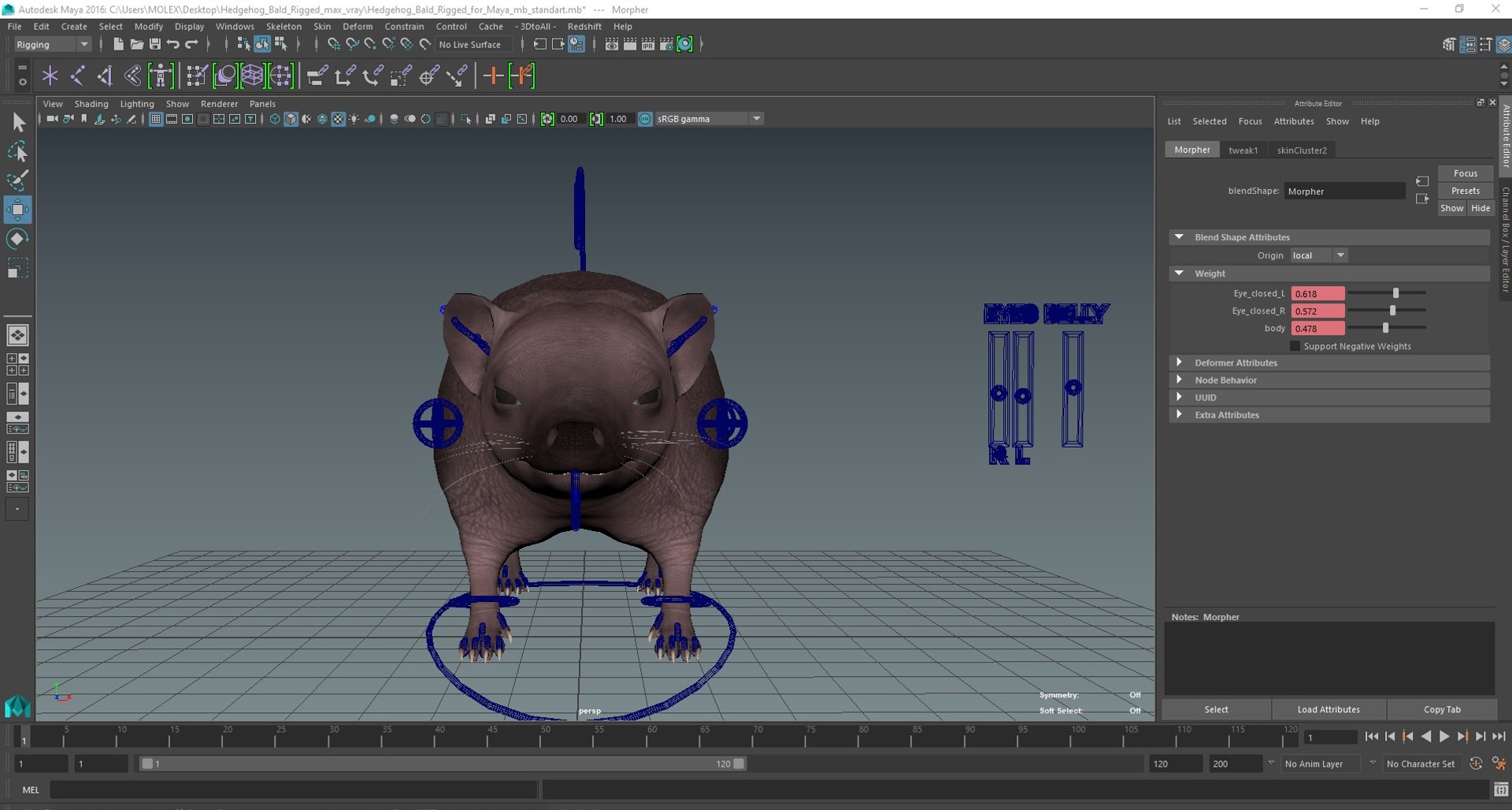 Hedgehog Bald Rigged for Maya model https://p.turbosquid.com/ts-thumb/qi/wAMYLB/Il/hedgehogbaldriggedformayac4dmodel062/jpg/1692295554/1920x1080/fit_q87/47f9578fd645537399961d514657a84d5451723b/hedgehogbaldriggedformayac4dmodel062.jpg