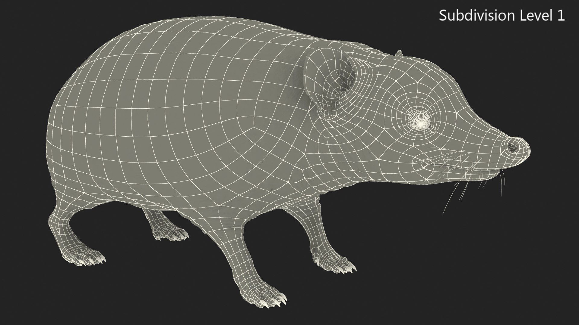 Hedgehog Bald Rigged for Maya model https://p.turbosquid.com/ts-thumb/qi/wAMYLB/V7/hedgehogbaldriggedformayac4dmodel044/jpg/1692295482/1920x1080/fit_q87/021e5b3596ca103d2e6e073fb14c6808782b541f/hedgehogbaldriggedformayac4dmodel044.jpg