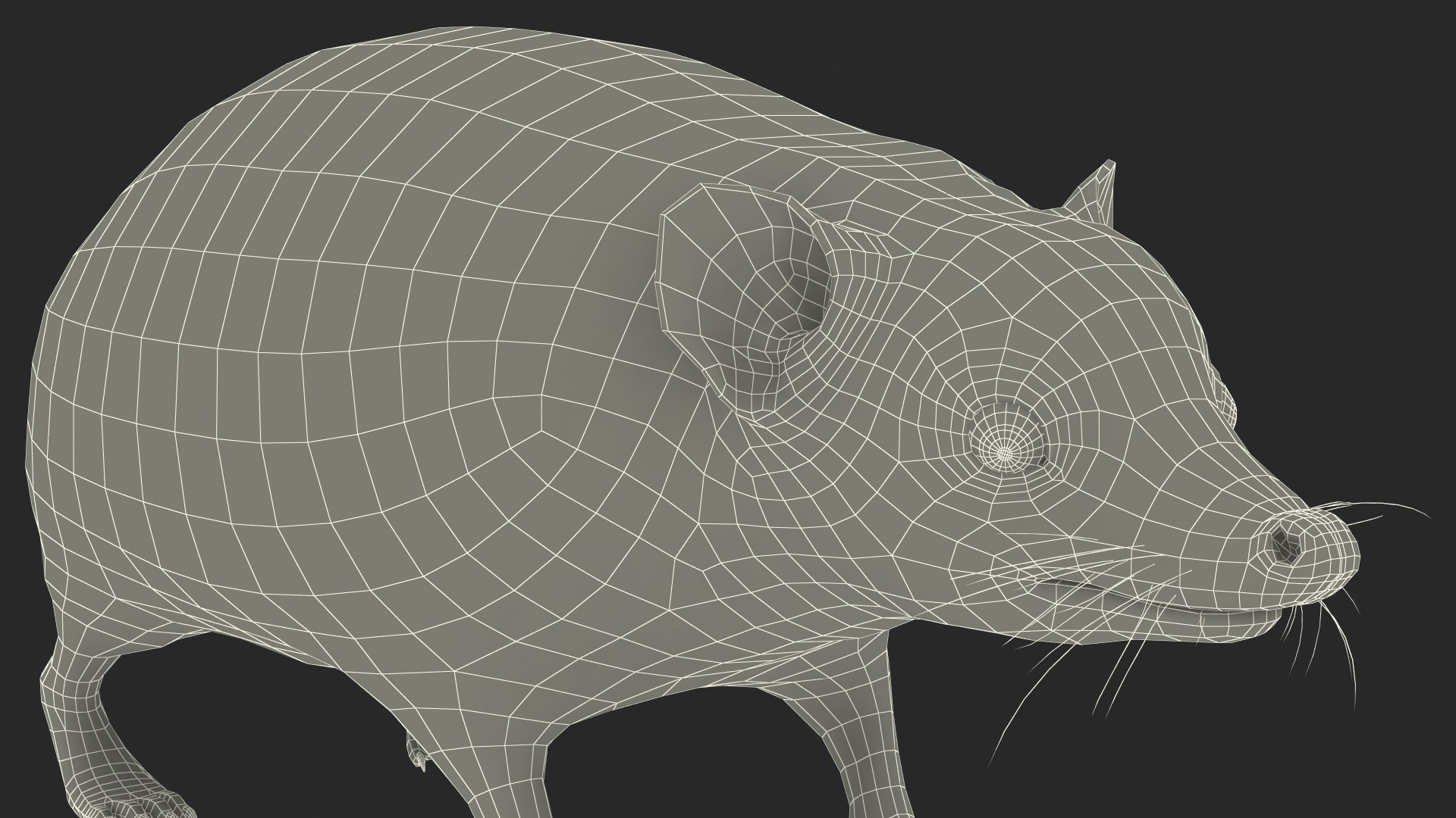 Hedgehog Bald Rigged for Maya model https://p.turbosquid.com/ts-thumb/qi/wAMYLB/WJ/hedgehogbaldriggedformayac4dmodel052/jpg/1692295516/1920x1080/fit_q87/b696411e6b5e0f74e1ece602b4fdc63e3a23f14c/hedgehogbaldriggedformayac4dmodel052.jpg