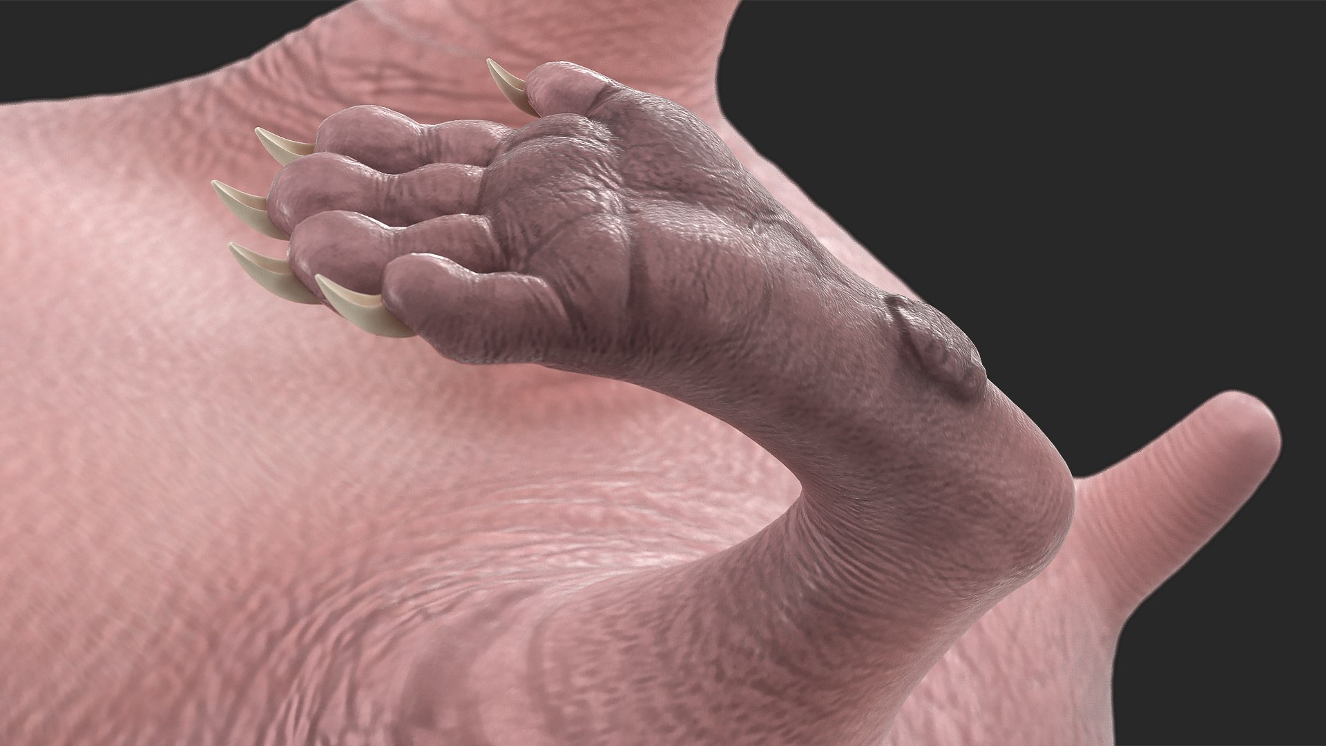 Hedgehog Bald Rigged for Maya model https://p.turbosquid.com/ts-thumb/qi/wAMYLB/Xt/hedgehogbaldriggedformayac4dmodel041/jpg/1692295470/1920x1080/fit_q87/101f96dd37e9a87cbf4a119f0b8b4397a6a30147/hedgehogbaldriggedformayac4dmodel041.jpg