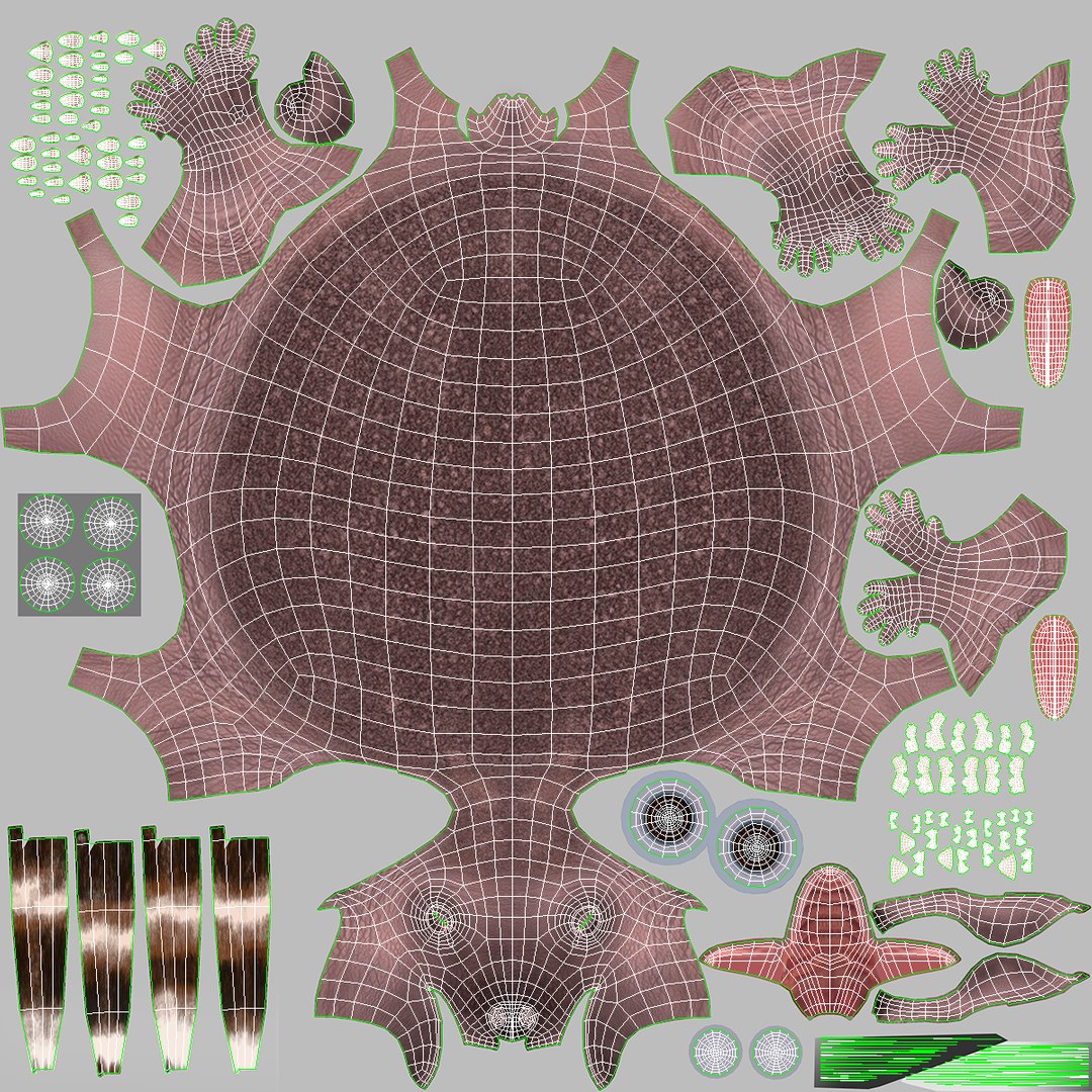 Hedgehog Bald Rigged for Maya model https://p.turbosquid.com/ts-thumb/qi/wAMYLB/bH/hedgehogbaldriggedformayac4dmodel046/jpg/1692295491/1920x1080/fit_q87/18617809d37f534d7504a9c074069b17be64db25/hedgehogbaldriggedformayac4dmodel046.jpg