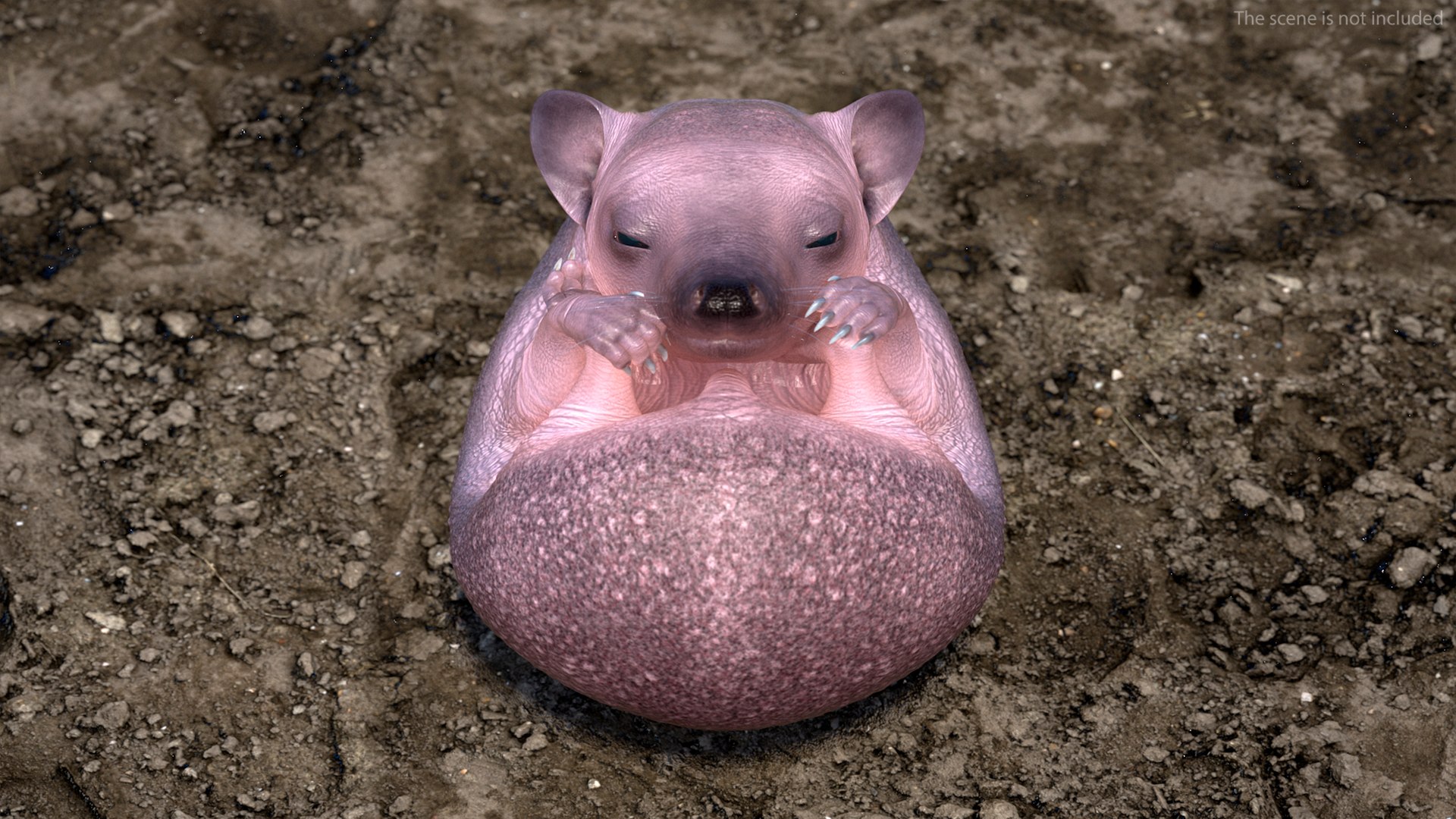 Hedgehog Bald Rigged for Maya model https://p.turbosquid.com/ts-thumb/qi/wAMYLB/c7/hedgehogbaldriggedformayac4dmodel004/jpg/1692295307/1920x1080/fit_q87/048f75a2fd0afc1503e24aed3a7d0f5d848eb838/hedgehogbaldriggedformayac4dmodel004.jpg