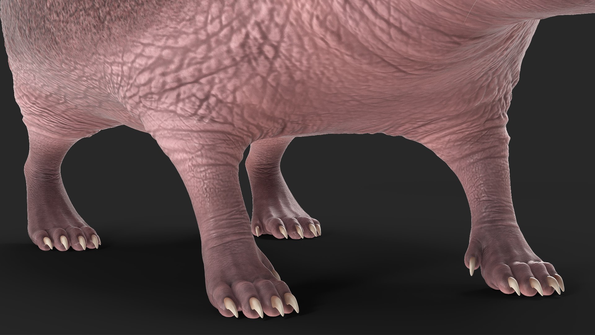 Hedgehog Bald Rigged for Maya model https://p.turbosquid.com/ts-thumb/qi/wAMYLB/s3/hedgehogbaldriggedformayac4dmodel032/jpg/1692295434/1920x1080/fit_q87/94835144241c8deb46e5af5a991b1106b16bd5a9/hedgehogbaldriggedformayac4dmodel032.jpg