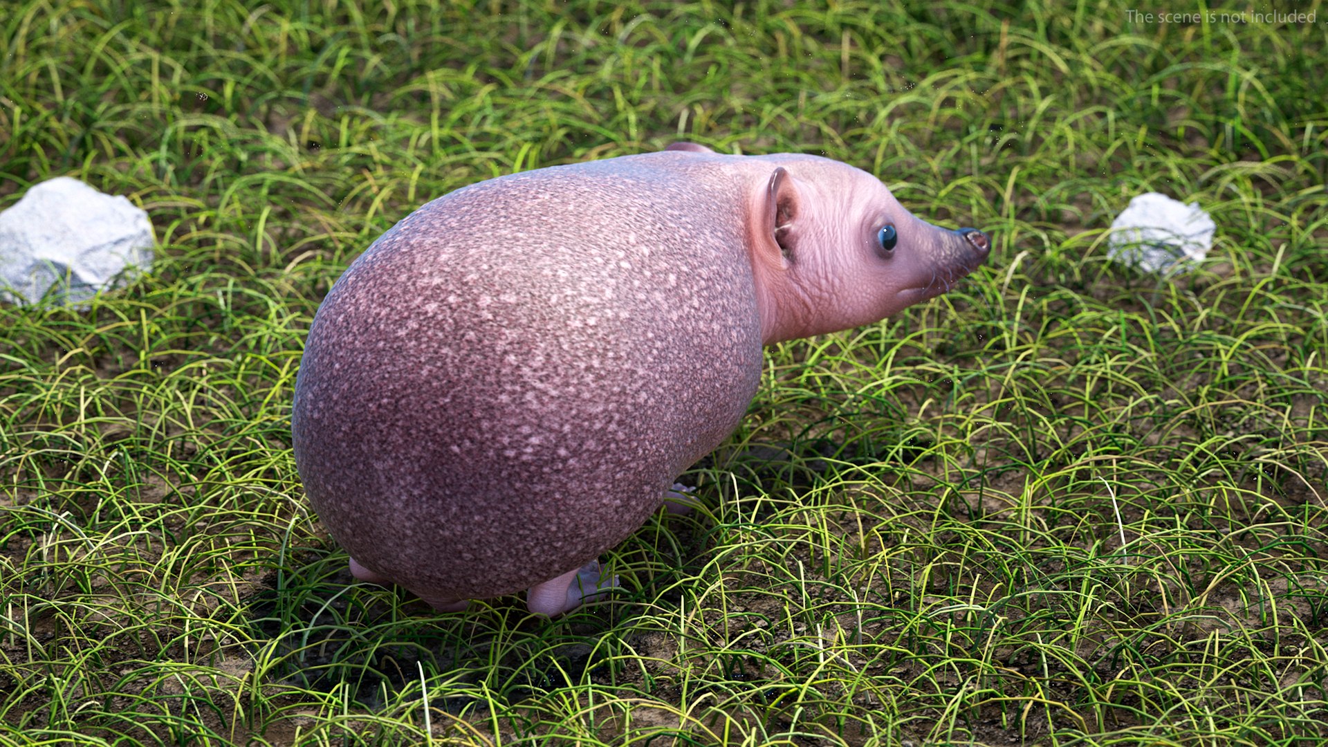 Hedgehog Bald Rigged for Maya model https://p.turbosquid.com/ts-thumb/qi/wAMYLB/ty/hedgehogbaldriggedformayac4dmodel007/jpg/1692295322/1920x1080/fit_q87/80e4107dc7999a7af33574edafaaaf26167a7d6e/hedgehogbaldriggedformayac4dmodel007.jpg