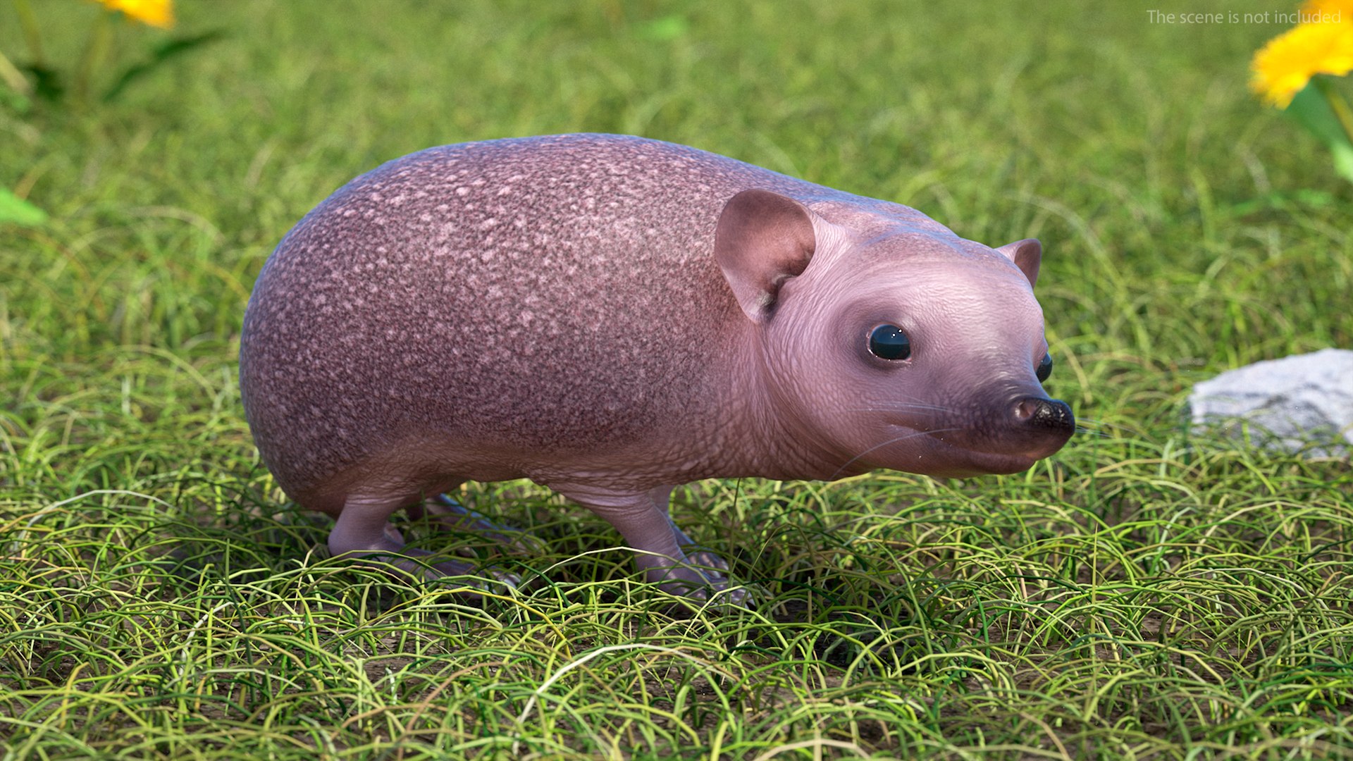 Hedgehog Bald Rigged for Maya model https://p.turbosquid.com/ts-thumb/qi/wAMYLB/wR/hedgehogbaldriggedformayac4dmodel010/jpg/1692295339/1920x1080/fit_q87/6c4fa06b0757a56dc960d03179c589d52bebeae1/hedgehogbaldriggedformayac4dmodel010.jpg
