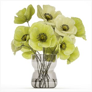 Bouquet Of Green Wild Flowers Poppy Vase 464 3D