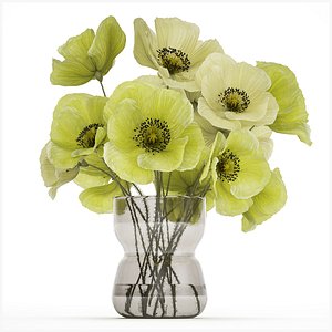 Bouquet Of Green Wild Flowers Poppy Vase 464