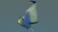 3d model blue angelfish
