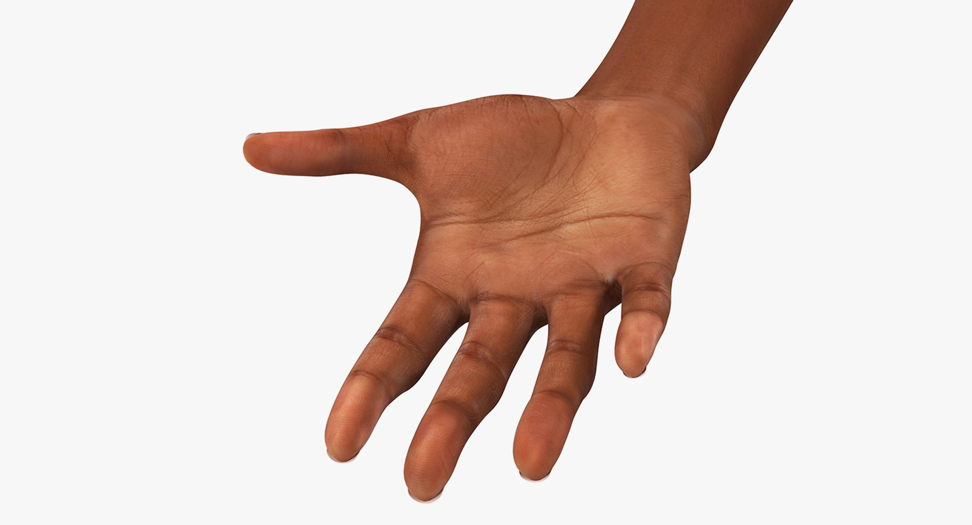 Asian/ Americas Female Hand Short Nails 3D model preview