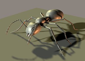 ant 3d max