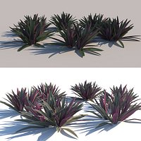 Mosus in the cradle, Two Species, Six Variations