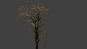 tree autumn 3D