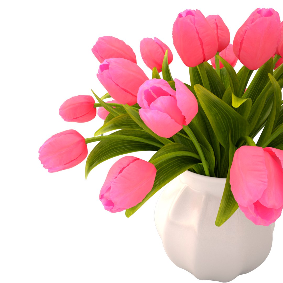 3ds tulips bouquet pink https://p.turbosquid.com/ts-thumb/qj/gMk9v8/4M3cUR0p/06/jpg/1461066394/1920x1080/fit_q87/d3dd721e8505328f2cb13ed83c70e79e97de05b1/06.jpg