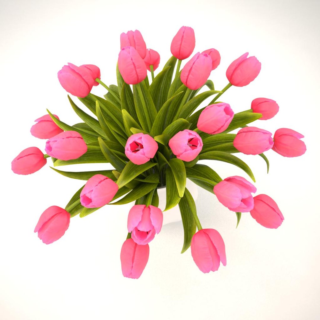 3ds tulips bouquet pink https://p.turbosquid.com/ts-thumb/qj/gMk9v8/DfGUEgNT/09/jpg/1461066394/1920x1080/fit_q87/a213e25bf4f0db35ae283ca470389f7dac3deb23/09.jpg