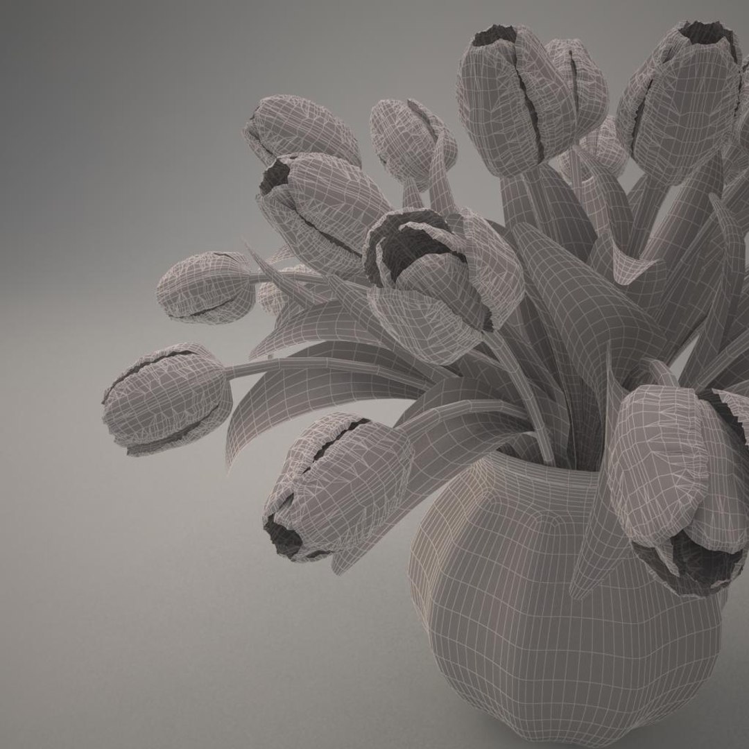3ds tulips bouquet pink https://p.turbosquid.com/ts-thumb/qj/gMk9v8/Mo8AzjAc/012/jpg/1461066395/1920x1080/fit_q87/5a83a2ddb3e610133a7a4e0942f04735f01e78a4/012.jpg