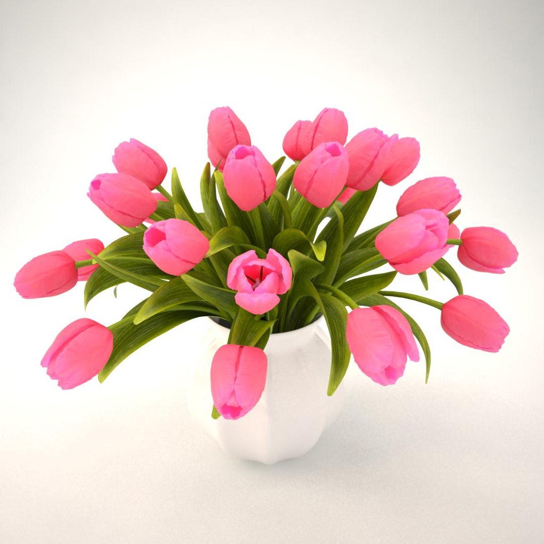 3ds tulips bouquet pink https://p.turbosquid.com/ts-thumb/qj/gMk9v8/p0tG4Ue8/04/jpg/1461066394/1920x1080/fit_q87/538d7c999cc6d3fc066c91ed08c8b782c07baabb/04.jpg