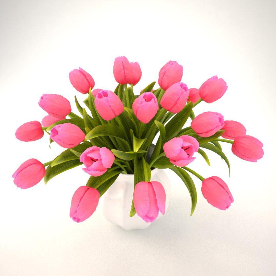 3ds tulips bouquet pink https://p.turbosquid.com/ts-thumb/qj/gMk9v8/v25o1aj6/08/jpg/1461066394/1920x1080/fit_q87/e53028dd7eb8e117080f533c2e25cffcc1eff037/08.jpg