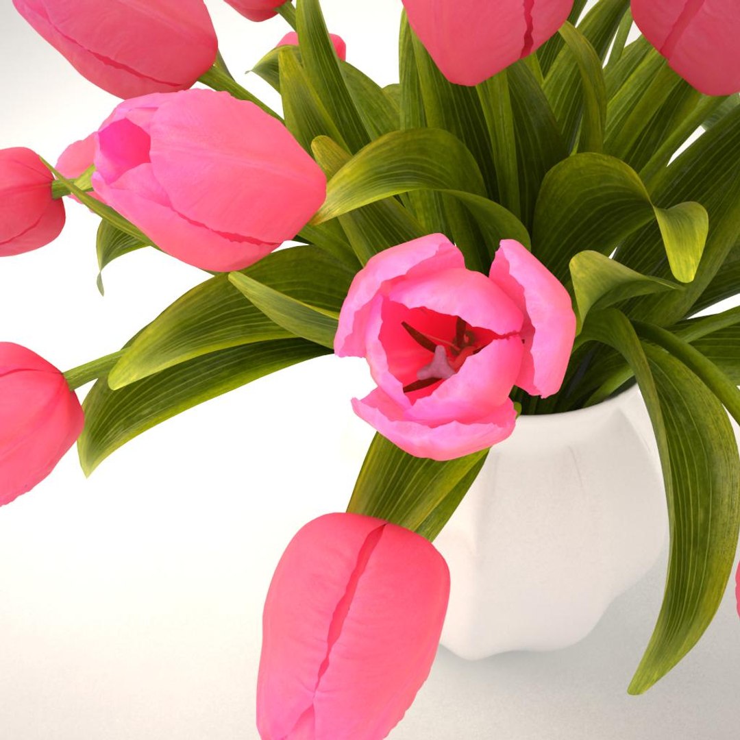 3ds tulips bouquet pink https://p.turbosquid.com/ts-thumb/qj/gMk9v8/vFq9t99J/010/jpg/1461066395/1920x1080/fit_q87/c59297e341db14dd8418bfbaeee373db98567c32/010.jpg