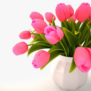 tulips bouquet pink