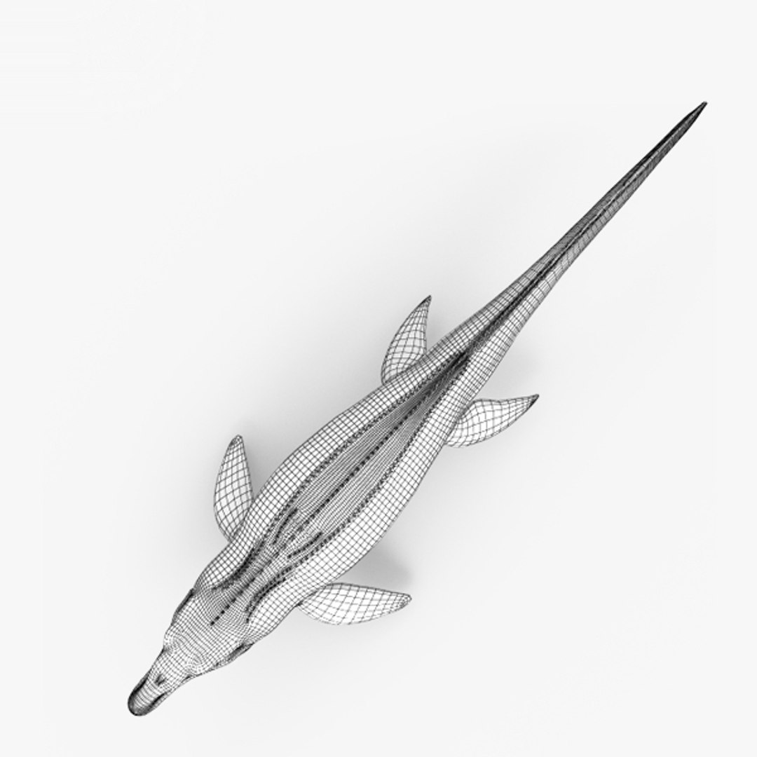 Mosasaurus 3D Model - TurboSquid 1506719