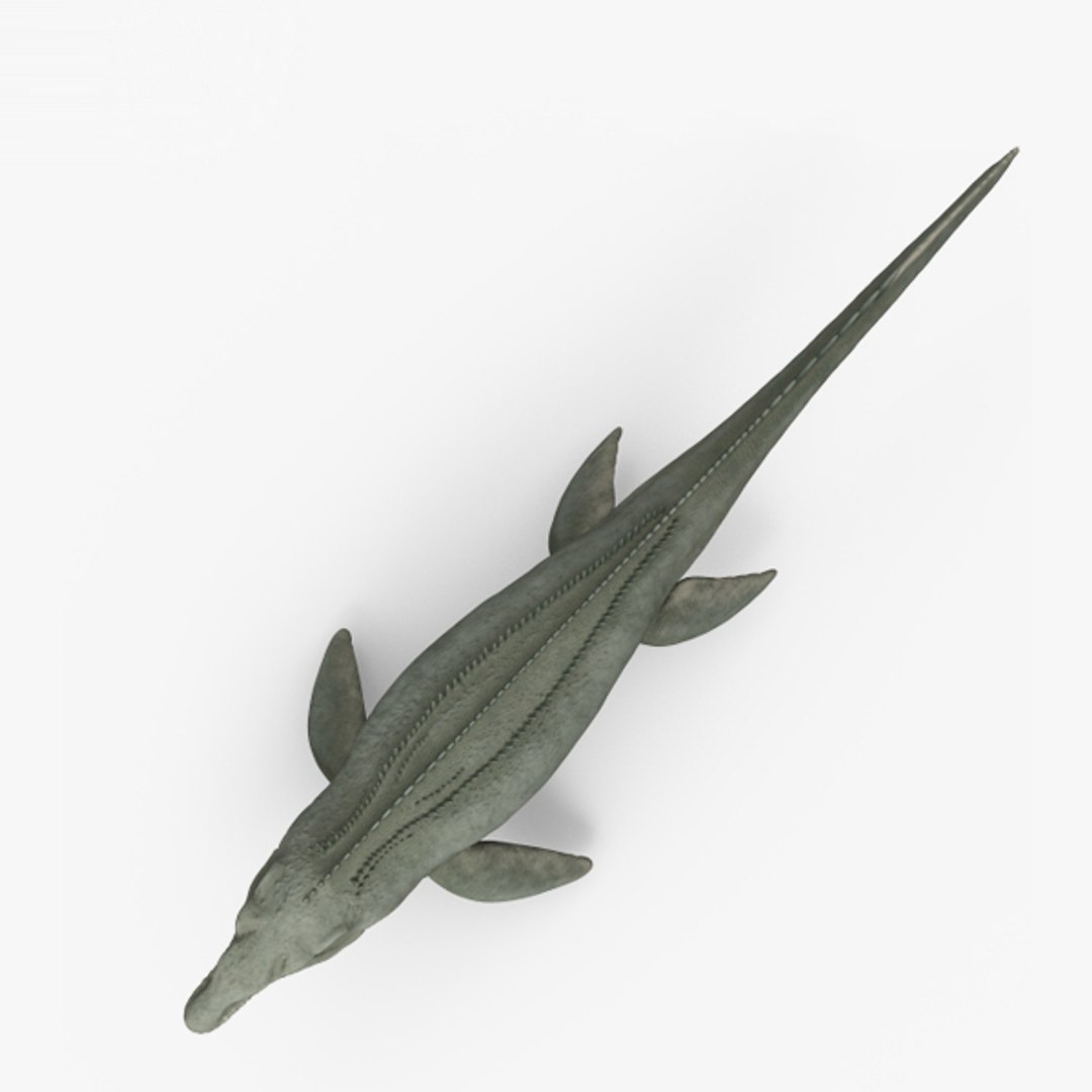 Mosasaurus 3D Model - TurboSquid 1506719