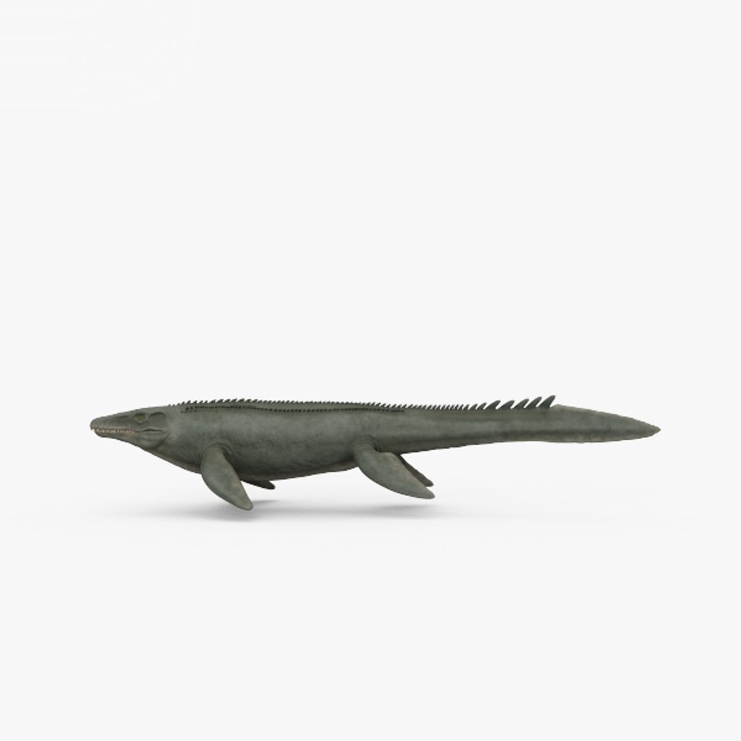 Mosasaurus 3D Model - TurboSquid 1506719