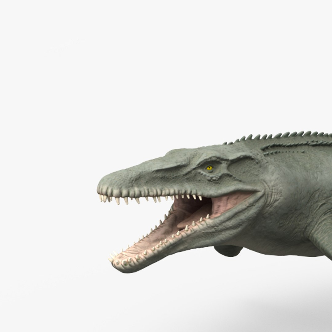 Mosasaurus 3D Model - TurboSquid 1506719