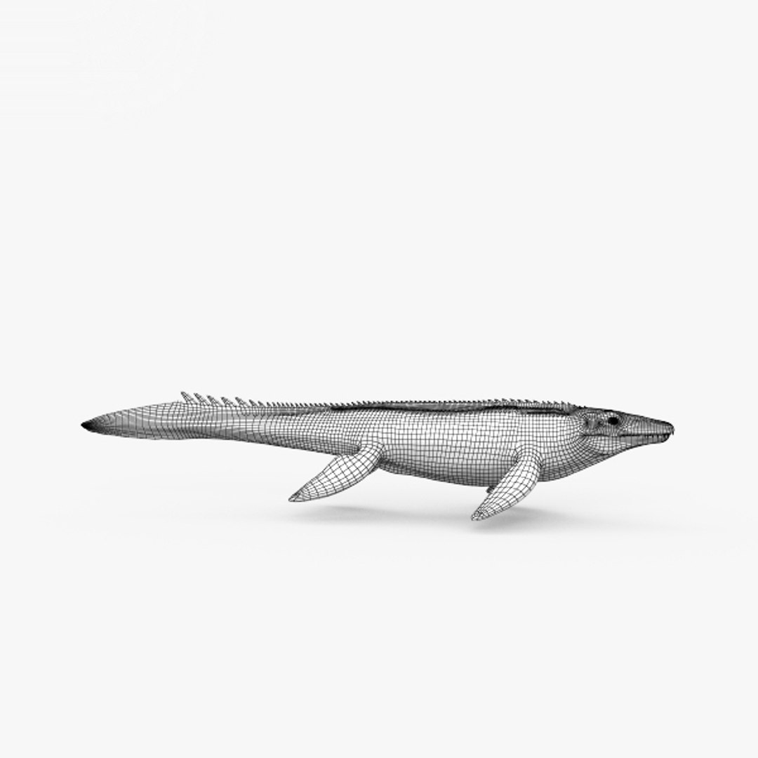 Mosasaurus 3D Model - TurboSquid 1506719