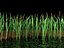 3d typha bulrush cattail model